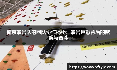 南京攀岩队的团队协作揭秘：攀岩巨献背后的默契与奋斗